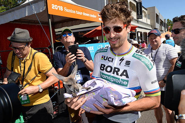 Peter Sagan